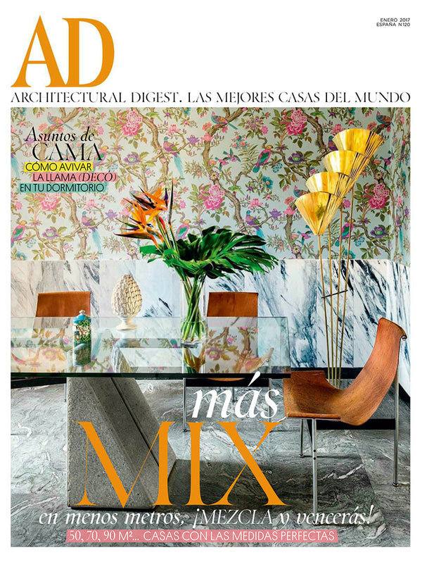 AD Spain - January 2017