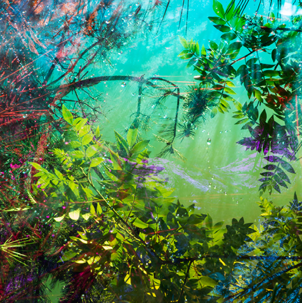Karine Laval - A bridge between two worlds.